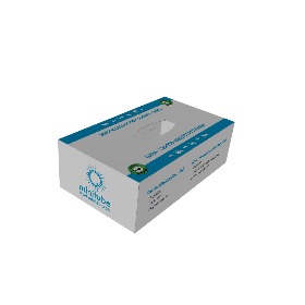 David-Morley_Glove-Box_25-June-2024