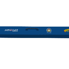 TD Baseball Bat Box
